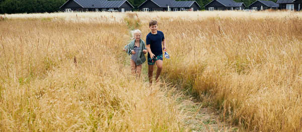 Sommerhus Sjælland